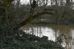 DSC_0007